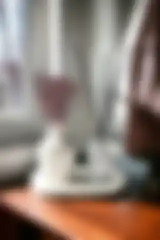 Bohemio Dekoratif Mini Pampas Kuru Çiçek Vazosu ile Evinize Şıklık Katın