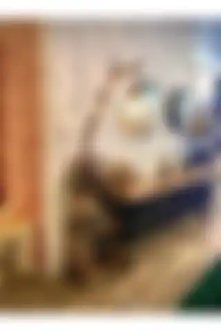 menalART Ağaç Tasarım Ağaç Lambader: Modern Estetik ve Doğallığın Birleşimi