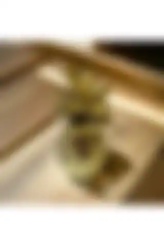 Şıklığı ve Estetiği Birleştiren Soft Fashion Küçük Boy Ananas Süs Hakkında Bilgiler