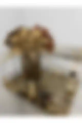 Extrasepetim 20 cm Aynalı Yuvarlak Kuru Çiçek Vazosu ile Modern Dekorasyon
