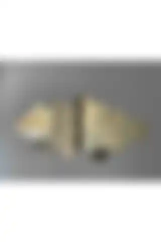 HomeJamin Dekoratif Pleksi Altıgen Bal Peteği Ayna ile Ev Dekorasyonunuzu Zenginleştirin